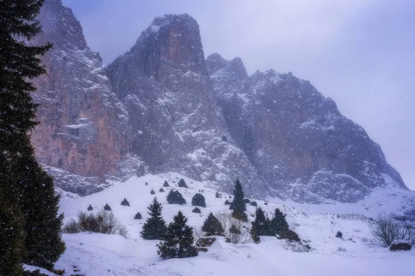 Almatı dağ. Tuyuk-Su gorge.