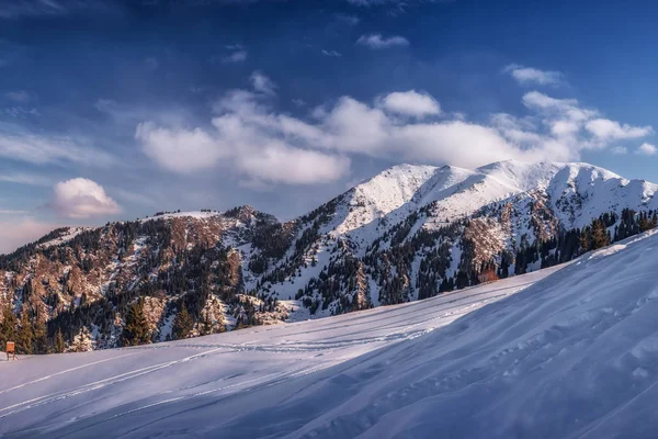Tepe Bukreev görünümü. Kazakistan, Almaty