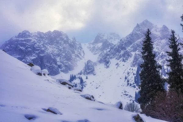 Almatı dağ. Tuyuk-Su gorge
