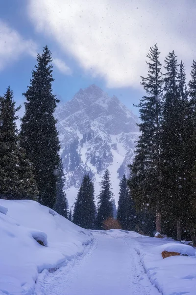 Almatı dağ. Tuyuk-Su gorge