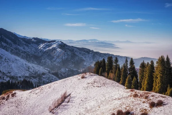 Almatı dağ. Kimasar gorge