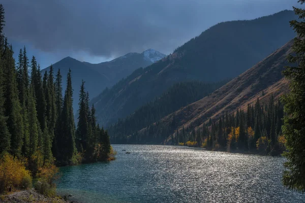 Kulsay Gölü. Güzel manzara. Kazakistan