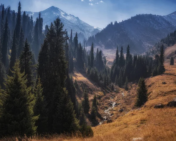 Almaty mountains.Gorelnik gorge