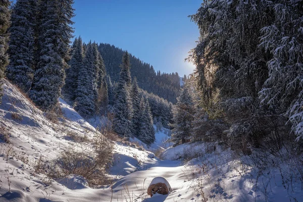 Mountain view. Almatı dağlar