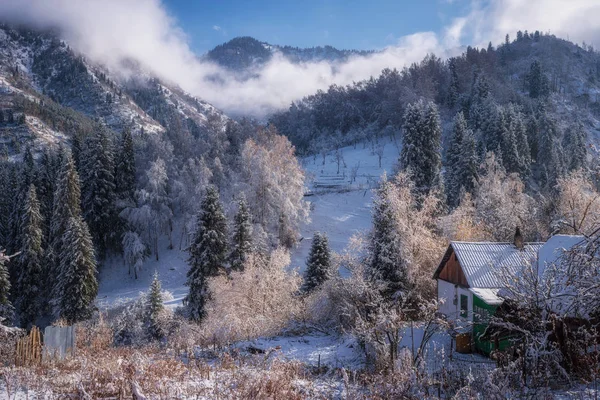 Dağ manzarası. Kazakistan. Almatı