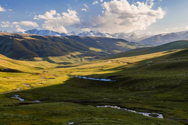 Kıç yüksek Platosu, olarak da bilinen Assy Turgen, sadece 100 kilometre uzaklıktaki Almatı doğusunda yer alır. Plato neredeyse deniz seviyesinden 3000 metre yükseklikte yer alır. 
