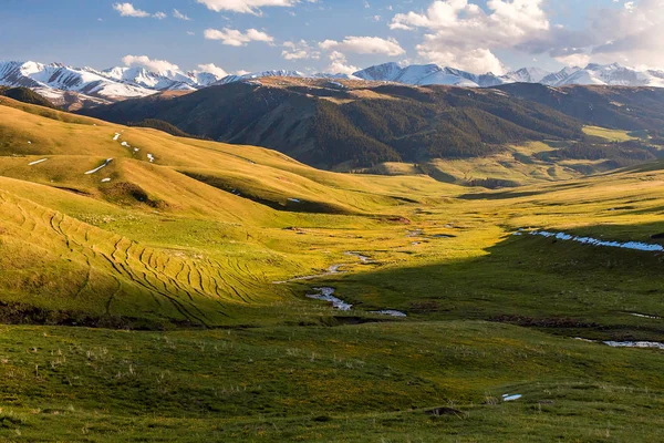 Kıç yüksek Platosu, olarak da bilinen Assy Turgen, sadece 100 kilometre uzaklıktaki Almatı doğusunda yer alır. Plato neredeyse deniz seviyesinden 3000 metre yükseklikte yer alır. 