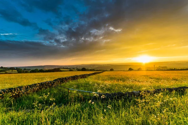 Gün batımı, Lindley çayırlar. Yorkshire. İngiltere