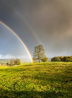 Farnley gökkuşağının. Yorkshire