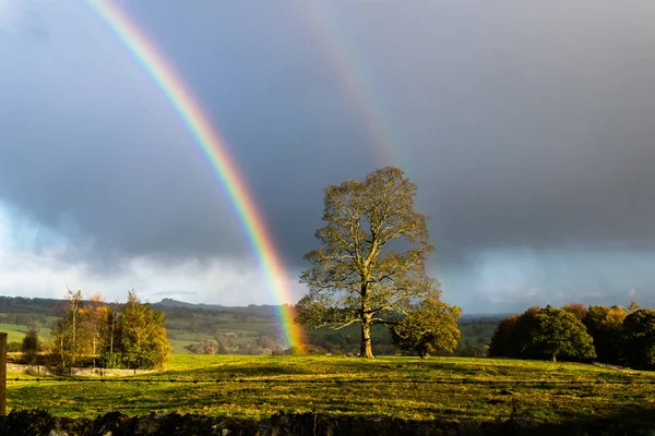Farnley gökkuşağının. Yorkshire