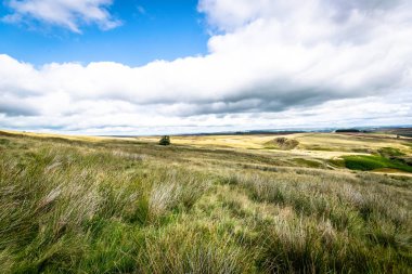 Haworth kırı. Yorkshire