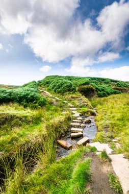 Haworth moor. Yorkshire clipart