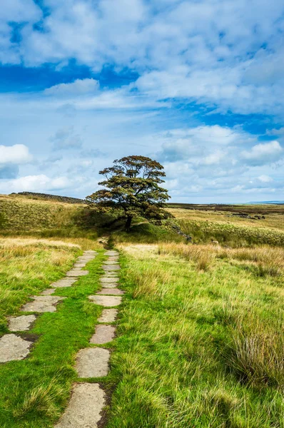 Haworth kırı. Yorkshire