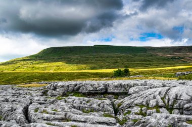 Kireçtaşı kaldırım. Yorkshire Dales Ulusal Parkı