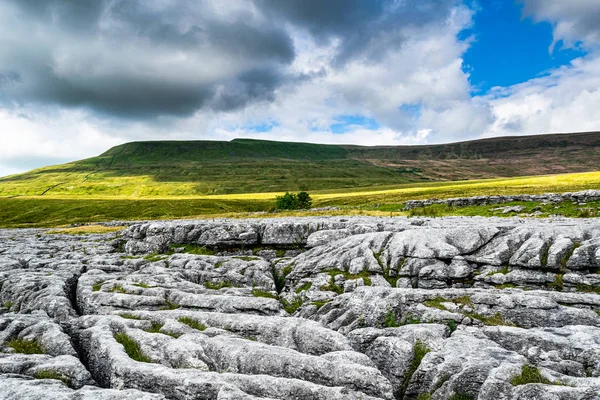 Kireçtaşı kaldırım. Yorkshire Dales Ulusal Parkı