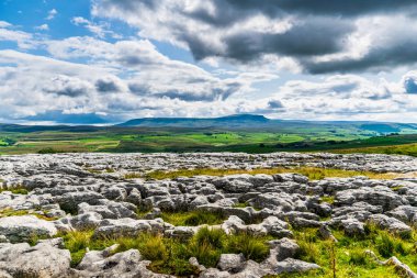 Kireçtaşı kaldırım. Yorkshire Dales Ulusal Parkı