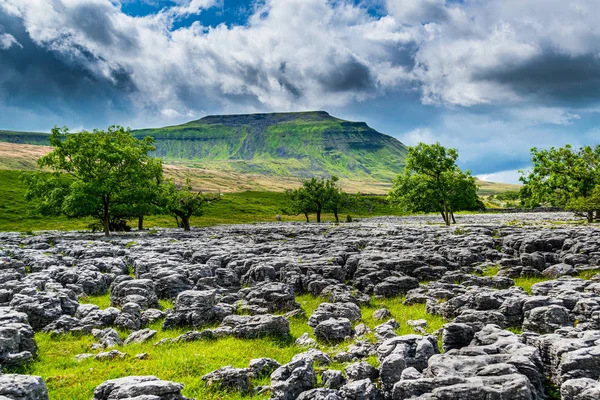 Ingleborough Dağı. Üç Tepe. Yorkshire Dales Ulusal Parkı