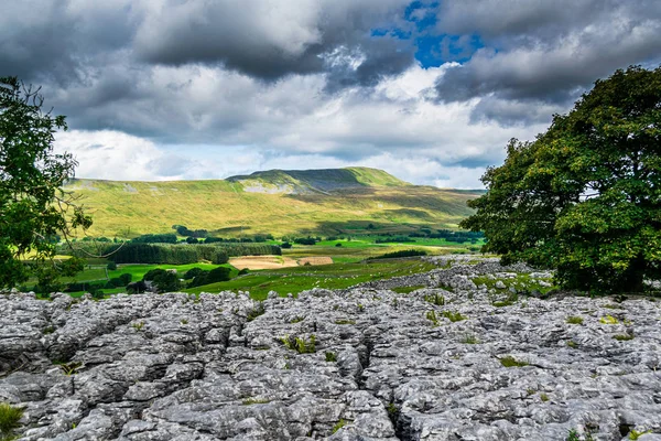 Whernside Dağı. Üç Tepe. Yorkshire Dales Ulusal Parkı