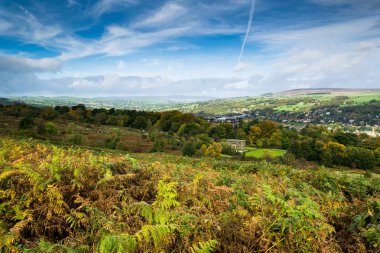 İlkley kırı. Moorland. Yorkshire