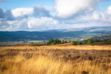 İlkley kırı. Moorland. Yorkshire