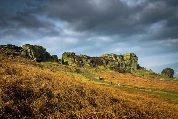İnek ve Buzağı kayaları. ılkley. Yorkshire