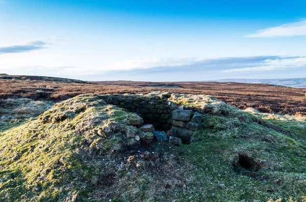 Orman tavuğu kıçları. İlkley kırı. Yorkshire