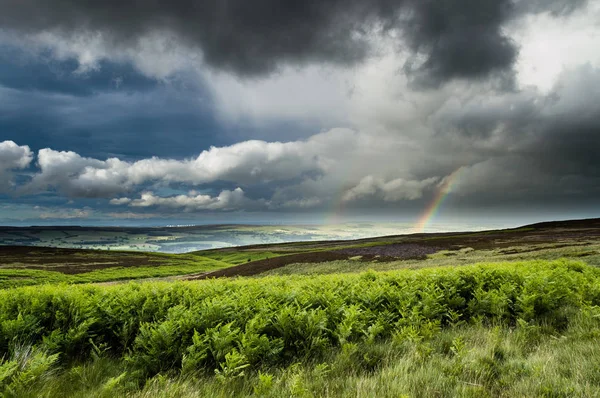 Brughiera Ilkley Moorland Yorkshire — Foto Stock