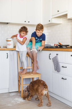 Kız ve erkek mutfak at krep hamuru hazırlama ve köpekle oynamayı kardeşim. Rahat yaşam tarzı fotoğraf serisi gerçek hayat iç