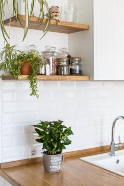 İskandinav tarzı, mutfak bilgileri, kahve ağaç bitki ahşap masa, beyaz seramik tuğla duvar arka plan üzerinde beyaz mutfak görüntüleyin