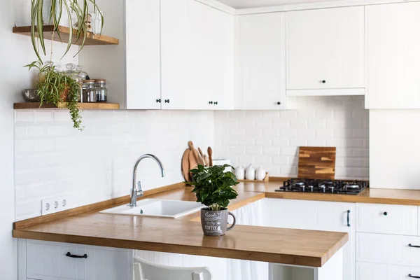 View on white kitchen in scandinavian style, kitchen details, coffee tree plant on wooden table, white ceramic brick wall background