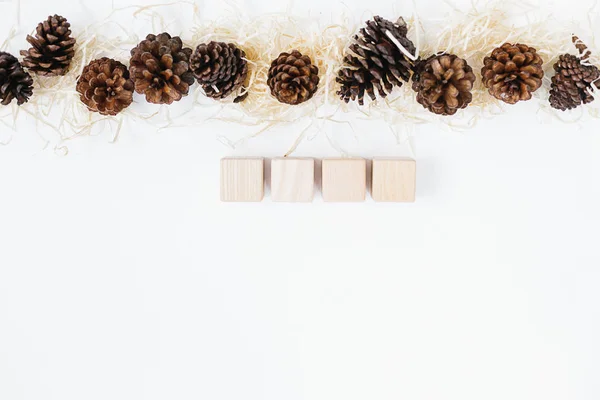Lined Set Pinecones Wood Shavings Four Wooden Block Holiday Natural — Stock Photo, Image