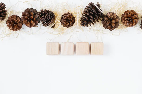 Lined Set Pinecones Wood Shavings Four Wooden Block Holiday Natural — Stock Photo, Image