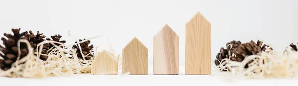 Lined Set Pinecones Wood Shavings Wooden Blocks House Shape Real — Stock Photo, Image