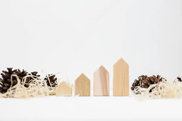 Lined Set Pinecones Wood Shavings Wooden Blocks House Shape Real — Stock Photo, Image