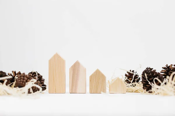 Lined Set Pinecones Wood Shavings Wooden Blocks House Shape Real — Stock Photo, Image