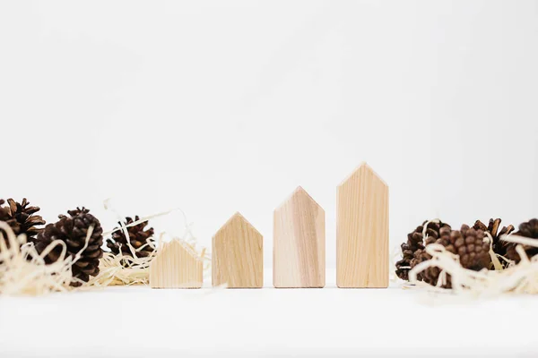 Lined Set Pinecones Wood Shavings Wooden Blocks House Shape Real — Stock Photo, Image