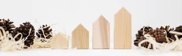 Lined Set Pinecones Wood Shavings Wooden Blocks House Shape Real — Stock Photo, Image