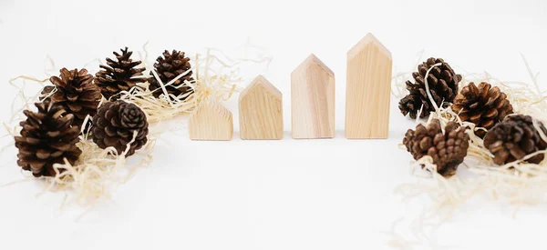 Lined Set Pinecones Wood Shavings Wooden Blocks House Shape Real — Stock Photo, Image