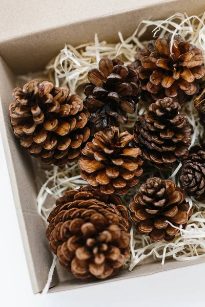 Set Pinecones Craft Box Wood Shavings Holiday Natural Decoration Gift Stock Photo