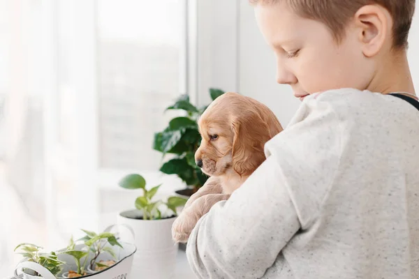 Caucasian Boy Holding English Cocker Spaniel Puppy Standing Window Home — Stock Photo, Image