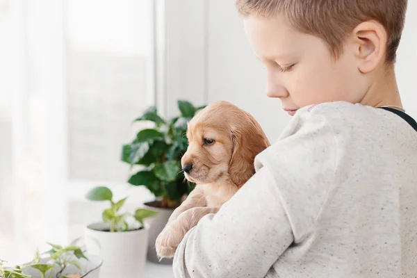 Caucasian Boy Holding English Cocker Spaniel Puppy Standing Window Home — Stock Photo, Image