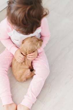 Sevimli küçük kız köpek İngiliz cocker spaniel köpek evde tutuyor. Çocuk ve pets birlikte