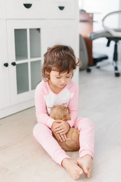 Симпатична Маленька Дівчинка Грає Собакою Англійський Кокер Спанієль Цуценя Вдома — стокове фото
