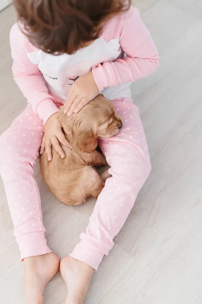 Cute Little Girl Holding Dog English Cocker Spaniel Puppy Home — Stock Photo, Image