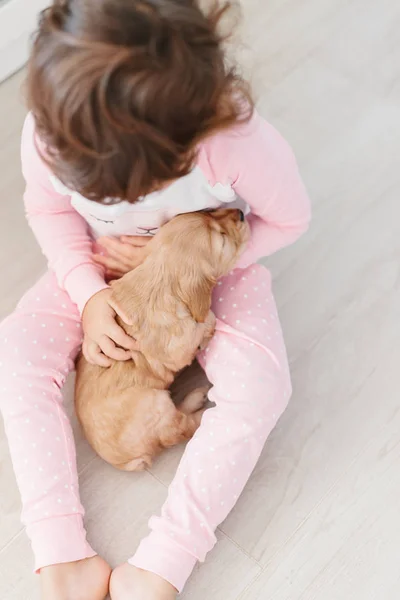 Cute Little Girl Holding Dog English Cocker Spaniel Puppy Home — Stock Photo, Image