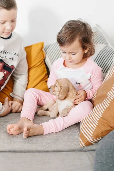 Søskende Leger Med Hund Engelsk Cocker Spaniel Hvalp Sofaen Hjem - Stock-foto