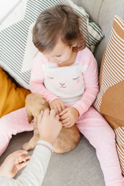 Siblings Playing Dog English Cocker Spaniel Puppy Sofa Home Children — Stock Photo, Image