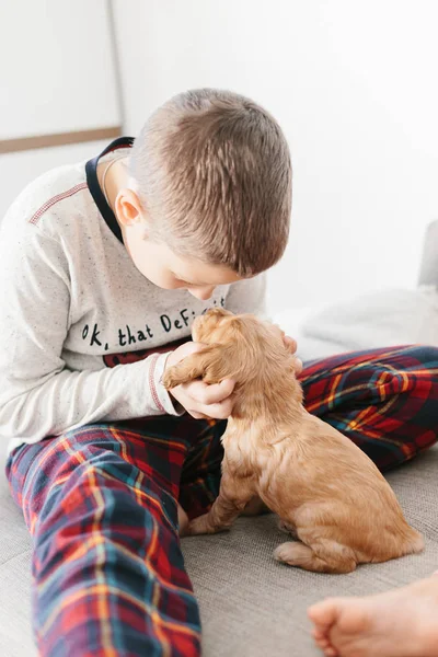 Caucasian Boy Playing Dog English Cocker Spaniel Puppy Home Children — Stock Photo, Image