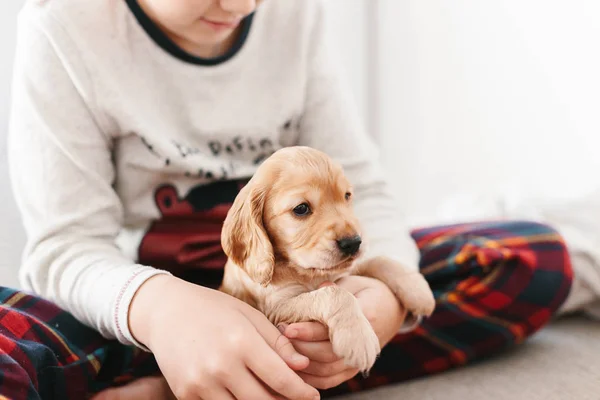 Caucasian Boy Playing Dog English Cocker Spaniel Puppy Home Children — Stock Photo, Image