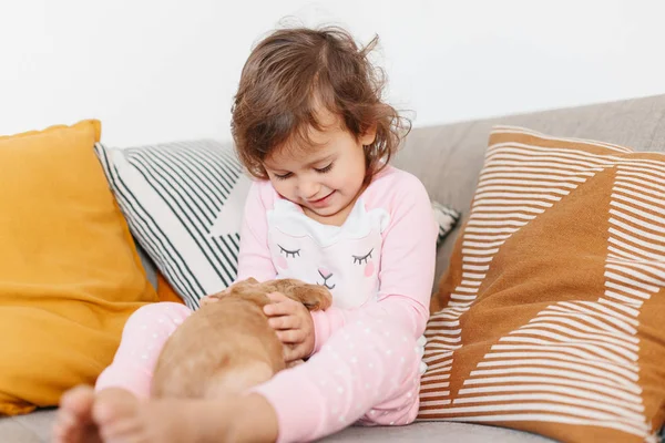 Cute Little Girl Playing Dog English Cocker Spaniel Puppy Home — Stock Photo, Image